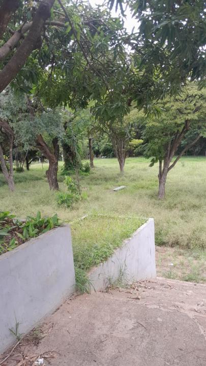 Foto 7 de 16 — Praça do Selmi Dei fica mais de 5 meses sem limpeza e moradores relatam aparecimento de cobras
